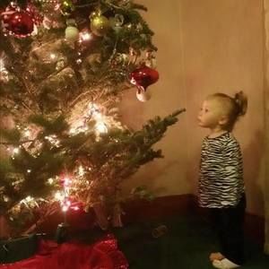 Meet your Posher, Braedi